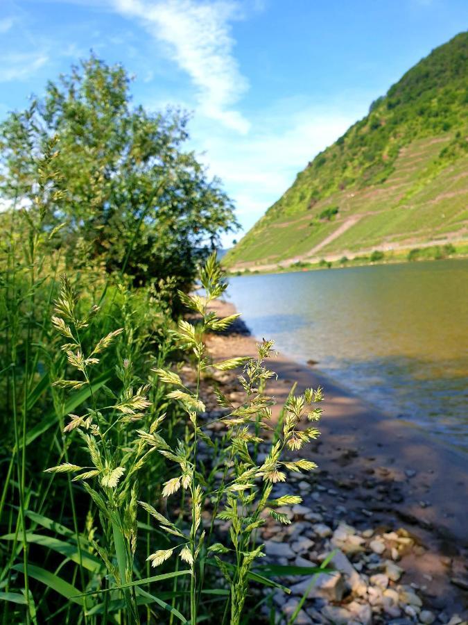 Ferienwohnung Ambiente II Und III Klotten Buitenkant foto